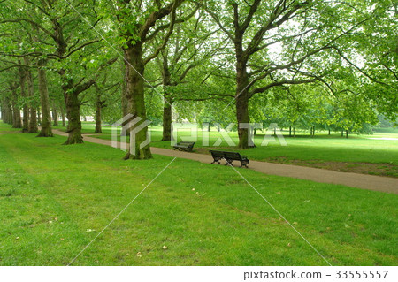 Green Park, London, United Kingdom 33555557