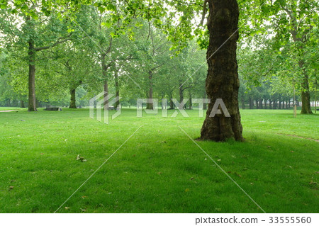 Green Park, London, United Kingdom 33555560