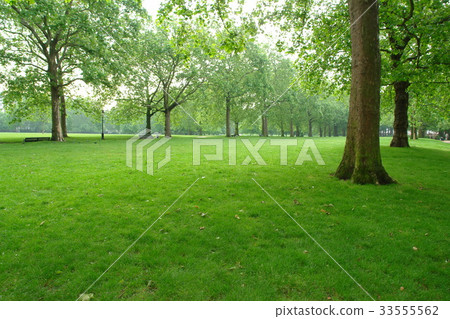 Green Park, London, United Kingdom 33555562