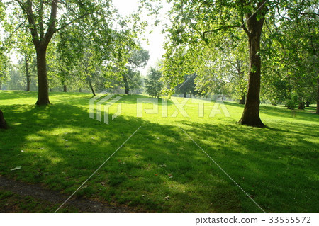 Green Park, London, United Kingdom 33555572