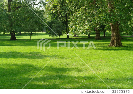 Green Park, London, United Kingdom 33555575