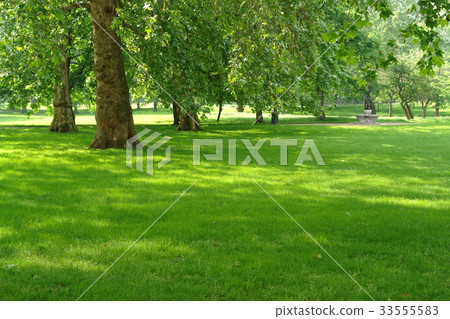 Green Park, London, United Kingdom 33555583