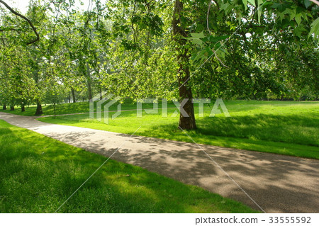 Green Park, London, United Kingdom 33555592