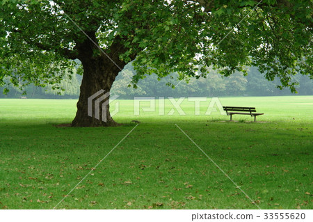 里士滿公園，倫敦，英國 33555620