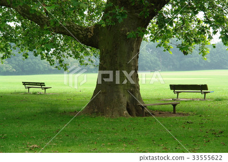 里士滿公園，倫敦，英國 33555622