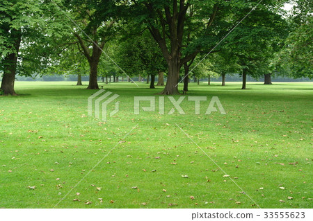 里士滿公園，倫敦，英國 33555623