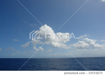Sea 33555673