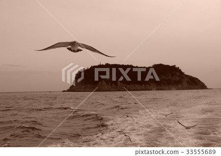 Moon island, Seogwipo city, Jeju island Moon island, Seogwipo city, Jeju island 33555689