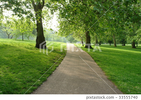 Green Park, London, United Kingdom 33555740