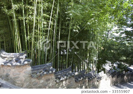 Bamboo Road, Beomeosa Temple, Geumjeong-gu, Busan Bamboo Road, Beomeosa Temple, Geumjeong-gu, Busan 33555907