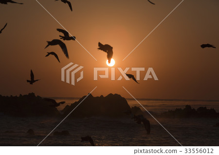 日出，Daejangam公園，東谷，蔚山 33556012