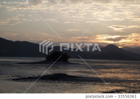 僅限女性,麗水,全南 僅限女性,麗水,全南 33556361