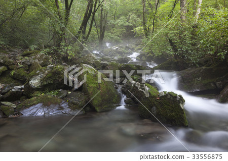 江原道平昌縣Jangjeon Valley 江原道平昌縣Jangjeon Valley 33556875