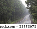 Cedar, Jeju Island 33556973