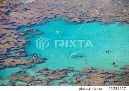 哈瑙瑪灣 33558257