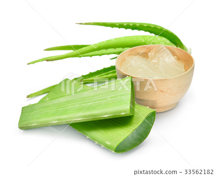 green aloe vera leaf, tropical herb with gel green aloe vera leaf, tropical herb with gel 33562182