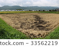 After harvest of rice 33562219