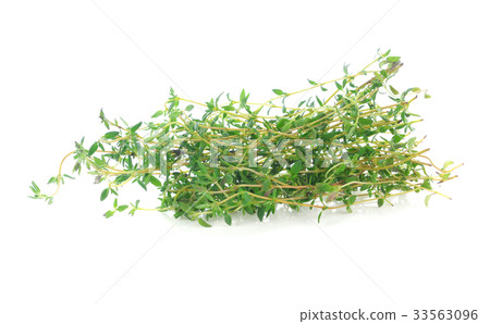 Thyme herb isolated on white background Thyme herb isolated on white background 33563096