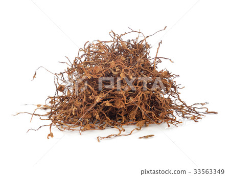 dried smoking tobacco isolated on a white 33563349