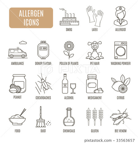 Allergen icons. Set of vector pictogram 33563657