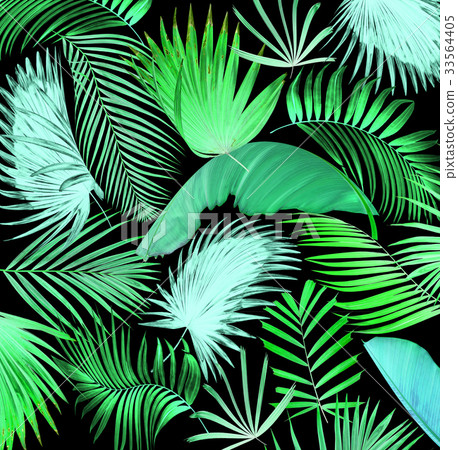 mix palm leaf tree background 33564405
