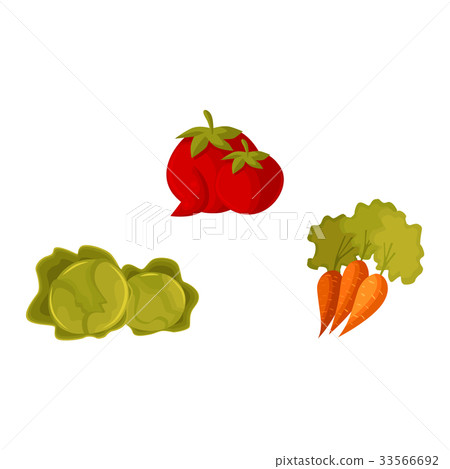 Cartoon vegetable set - tomato, carrot and cabbage Cartoon vegetable set - tomato, carrot and cabbage 33566692