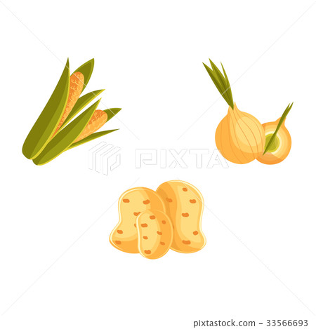 Farm products - potato, corn and onion vegetables Farm products - potato, corn and onion vegetables 33566693