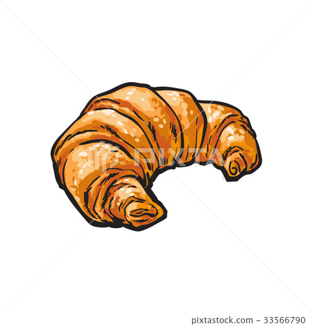 vector sketch fresh french Croissant isolated 33566790