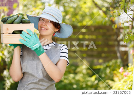 Farmer woman with cucumber box 33567005