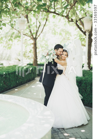 Romantic, fairytale, happy newlywed couple hugging Romantic, fairytale, happy newlywed couple hugging 33569397