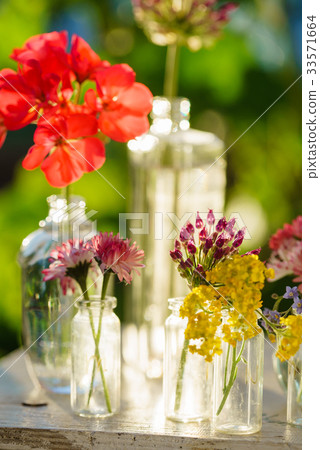 summer flowers summer flowers 33571664