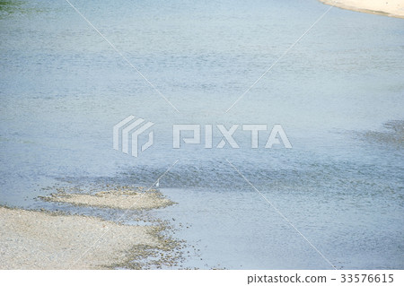 River face (white birch) 33576615