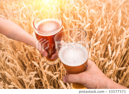 A glass of beer in a hand in a wheat field 33577371