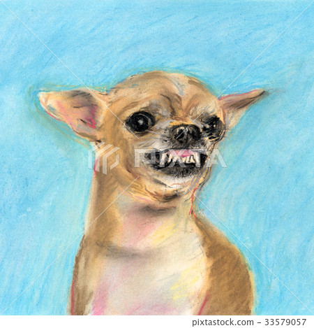 Angry Dog Chihuahua Stock Illustration