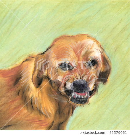 Angry Dog Pup Angry Dog Pup 33579061