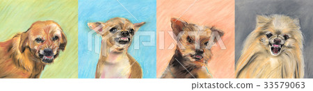 Angry Dog Horizontal Angry Dog Horizontal 33579063