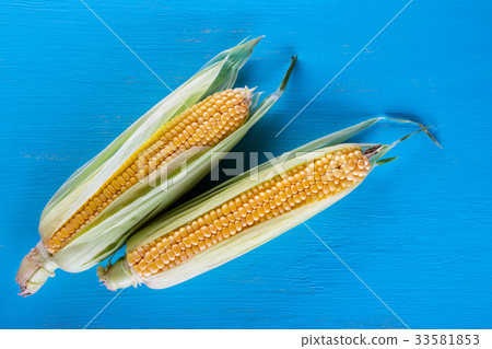 Ripe yellow corn on a blue table 33581853