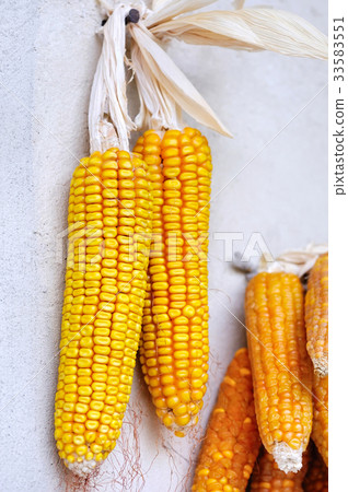 Dried corn cobs 33583551
