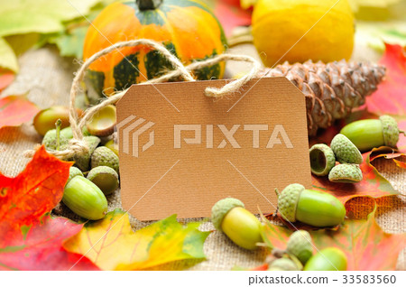 Blank paper sticker with autumn acorns and leaves 33583560