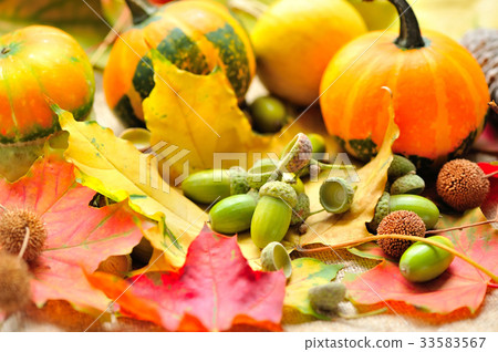 Mini decorative pumpkins with acorns Mini decorative pumpkins with acorns 33583567