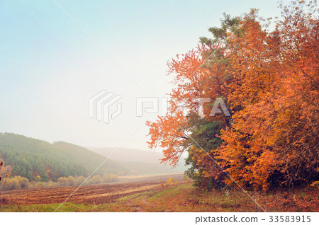 Beautiful autumn landscape misty morning Beautiful autumn landscape misty morning 33583915