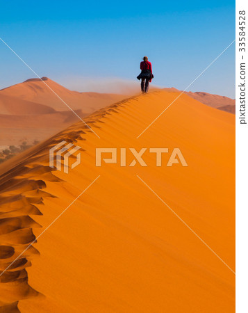 Red dune ridge walk Red dune ridge walk 33584528