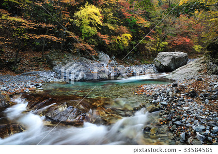 Autumn leaves of Kawasakogawa valley Autumn leaves of Kawasakogawa valley 33584585