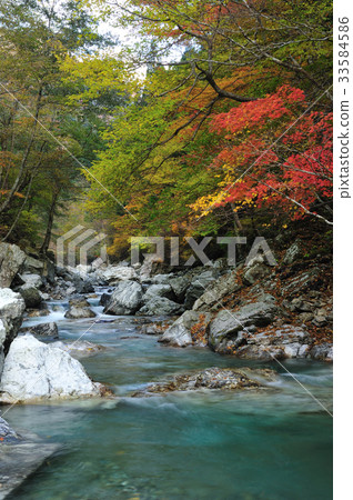 Kawasakogawa谷秋葉 Kawasakogawa谷秋葉 33584586