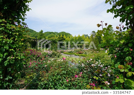 Karuizawa Lake Garden like a green frame Karuizawa Lake Garden like a green frame 33584747