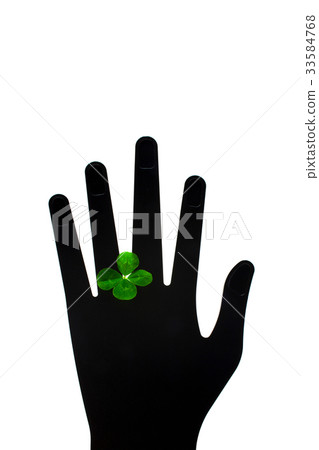 four Leaf Clover  four Leaf Clover  33584768