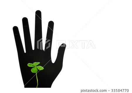 four Leaf Clover  four Leaf Clover  33584770