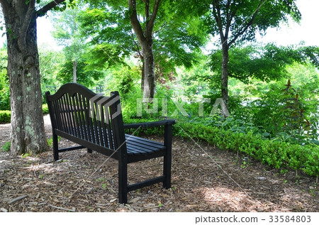 Karuizawa Lake Garden Forest Tree Shade and Bench 33584803