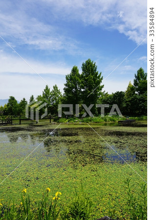 新鮮的綠色輕井澤湖花園 33584894