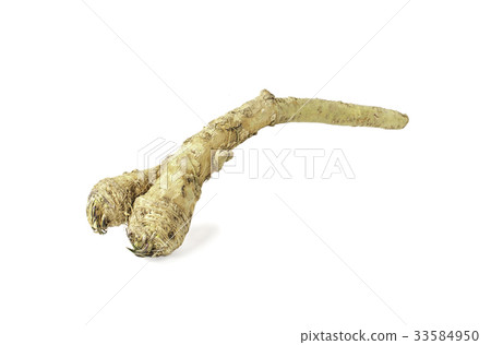 Horseradish (mountain wasabi) on white background 33584950